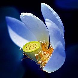 《哥谭骑士》豪华版预告 10月21日正式发售